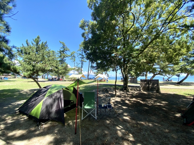 木陰のテント