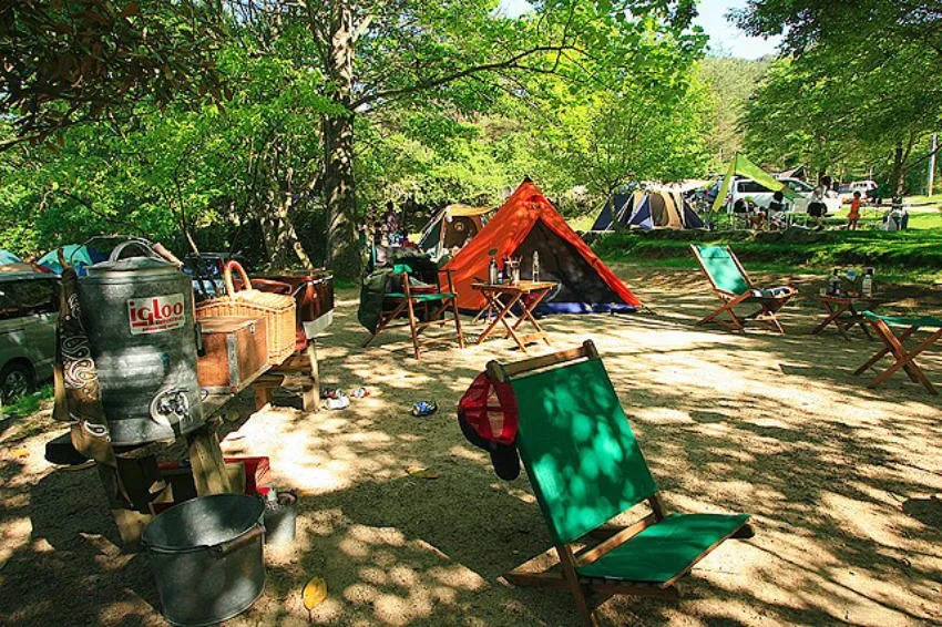自然の森ファミリーオートキャンプ場キャンプサイト