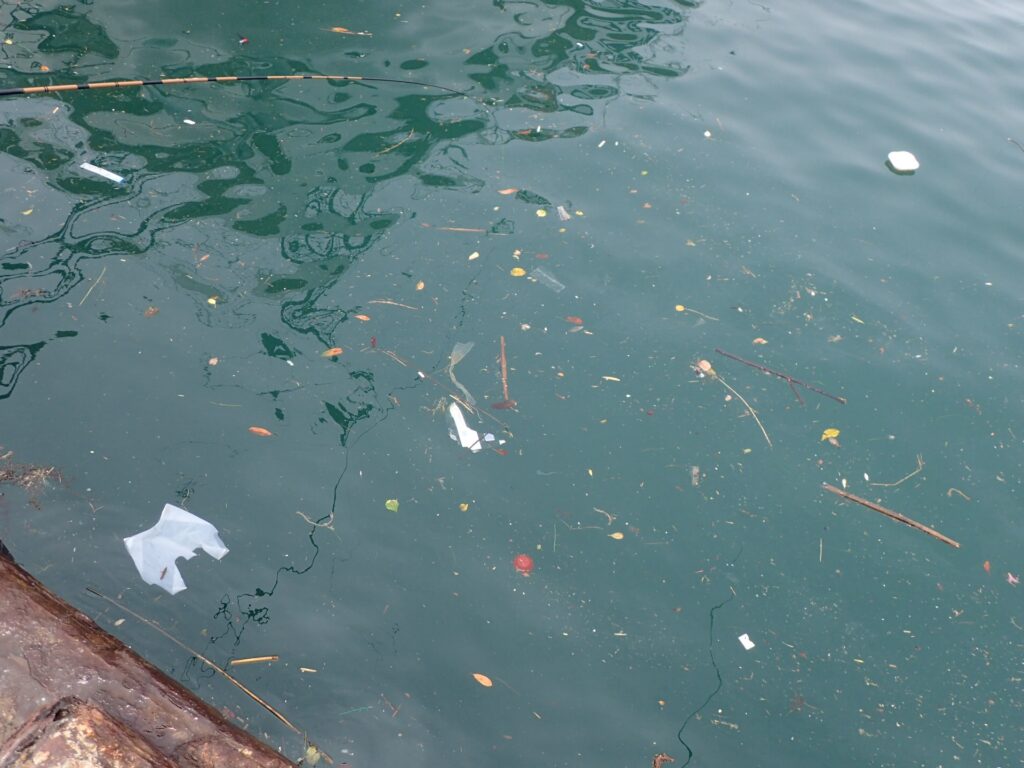 海に浮かぶプラスチックゴミ