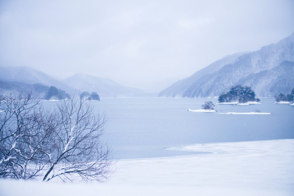 冬の湖畔の景色