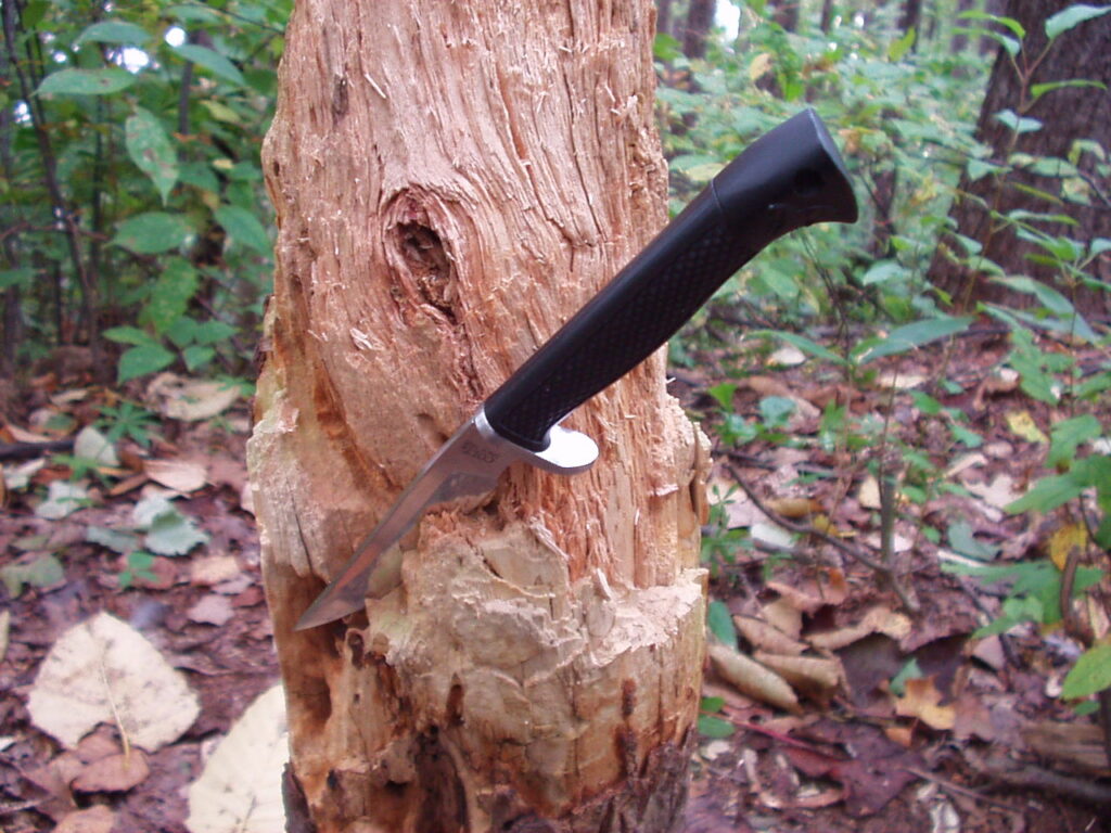木に刺したナイフ