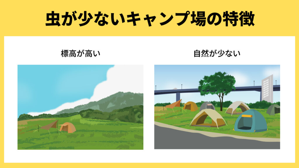 虫が少ないキャンプ場の特徴、標高が高い、自然が少ない