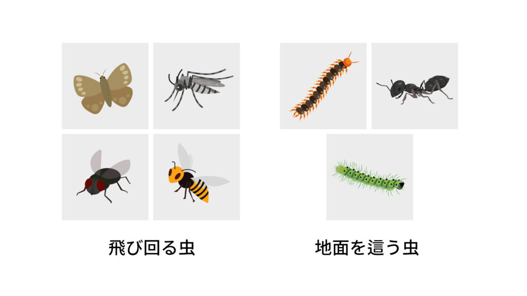 飛び回る虫、地面を這う虫