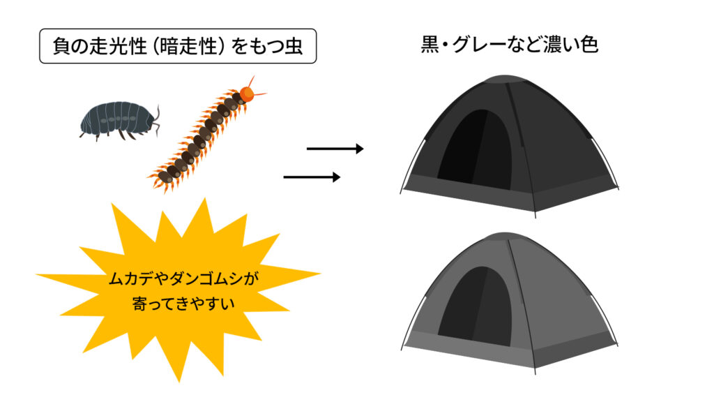 負の走行性（暗走性）をもつ虫、黒・グレーなど濃い色、ムカデやダンゴムシが寄ってきやすい