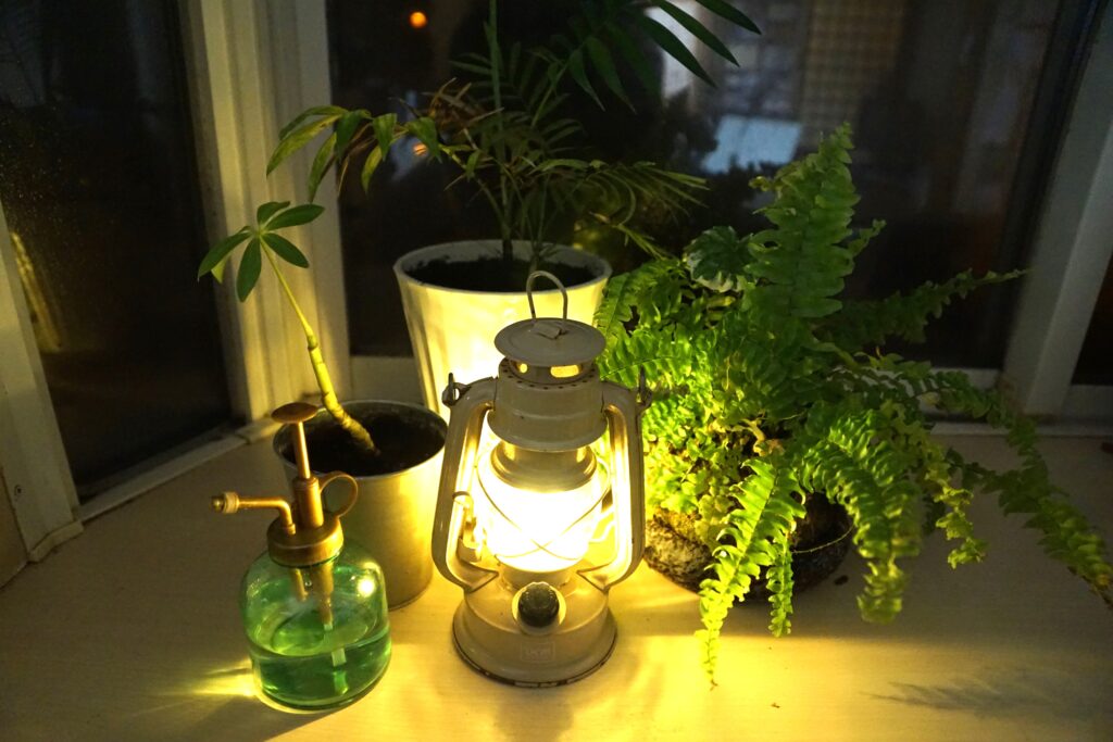 観葉植物とランタン