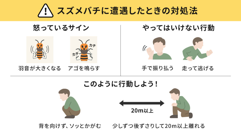 スズメバチに遭遇したときの対処法